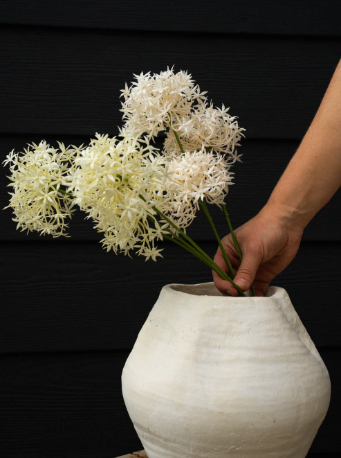 Allium Floral Spray, Champagne