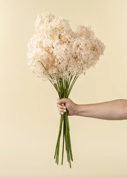 Allium Floral Spray, Champagne