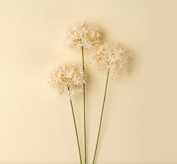 Allium Floral Spray, Champagne