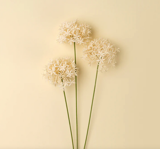 Allium Floral Spray, Champagne