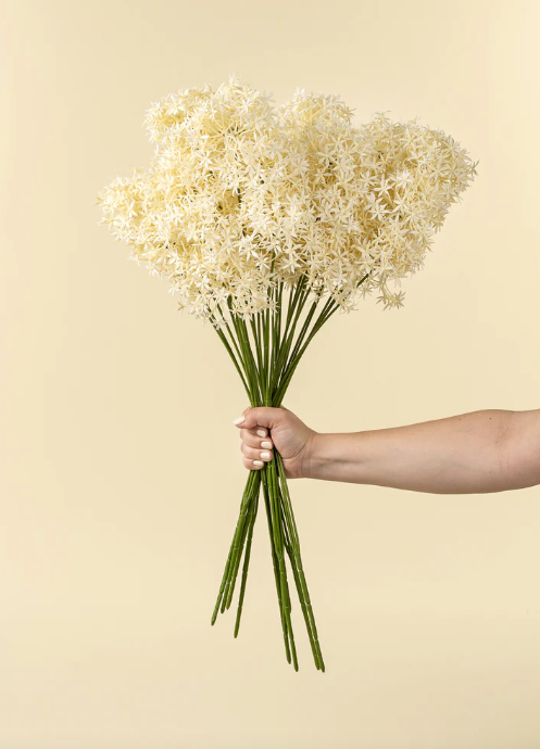 Allium Floral Spray, Cream