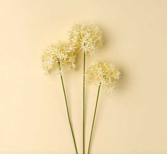 Allium Floral Spray, Cream