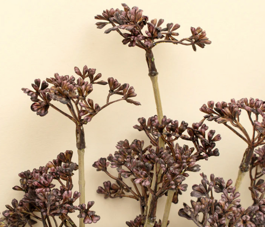 Meadow Grass Bouquet, Purple