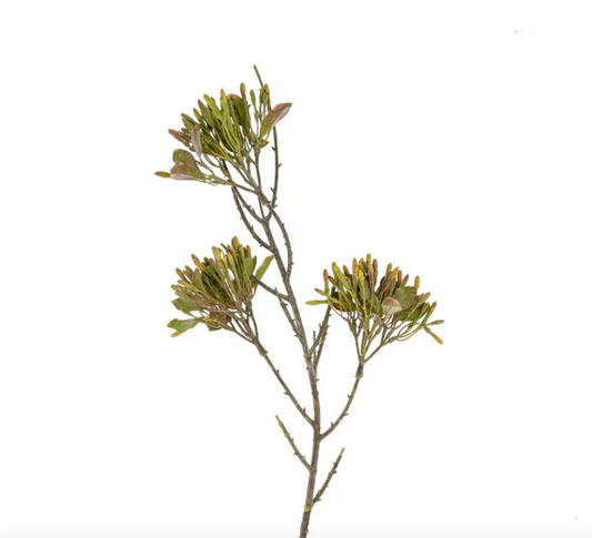 Wild Flower Spray, Green