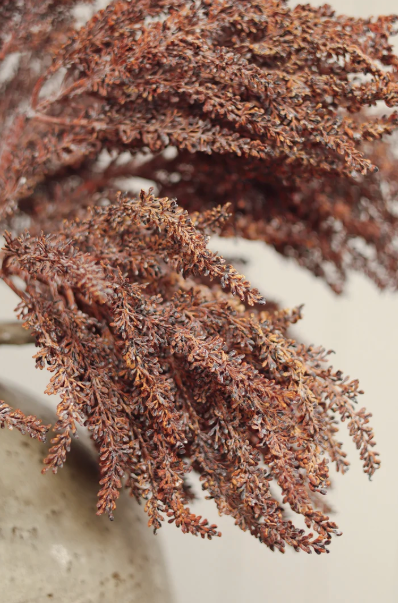 Autumn Grain Spray