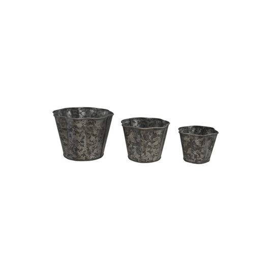 Galvanized Metal Scalloped Planters