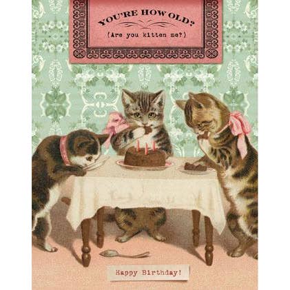 Card: Are You Kitten Me?