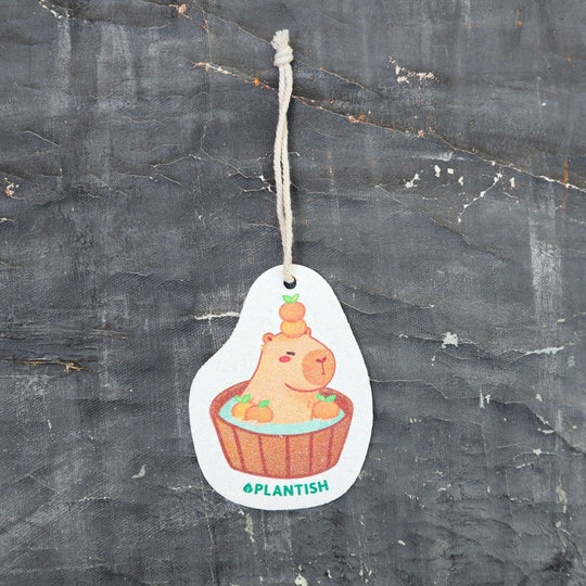 Hanging Pop-Up Sponge