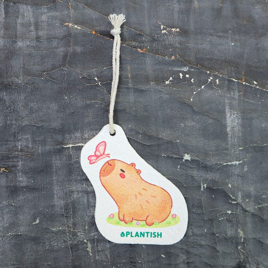 Hanging Pop-Up Sponge