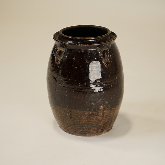 Fern Vintage Pot