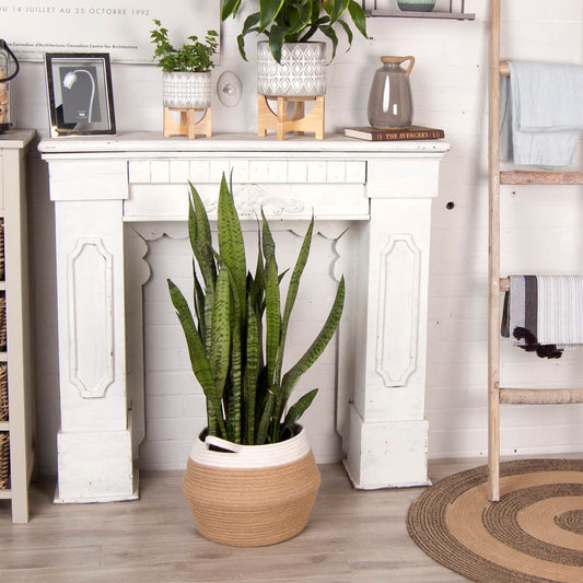 Cotton Belly Basket - Natural/white