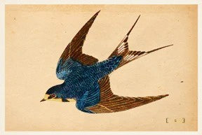 Postcard: Swallow