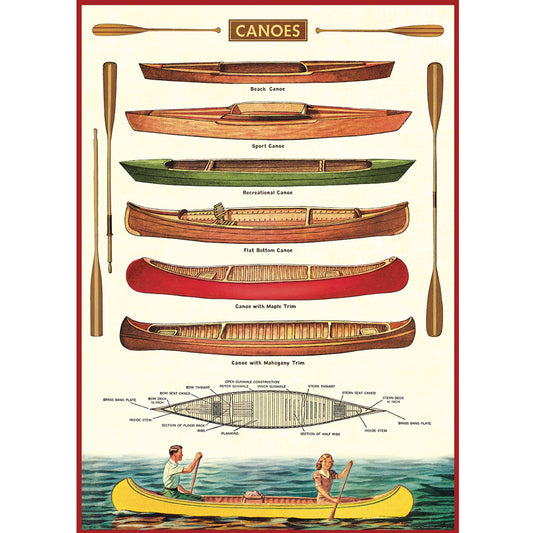 Poster- Canoes
