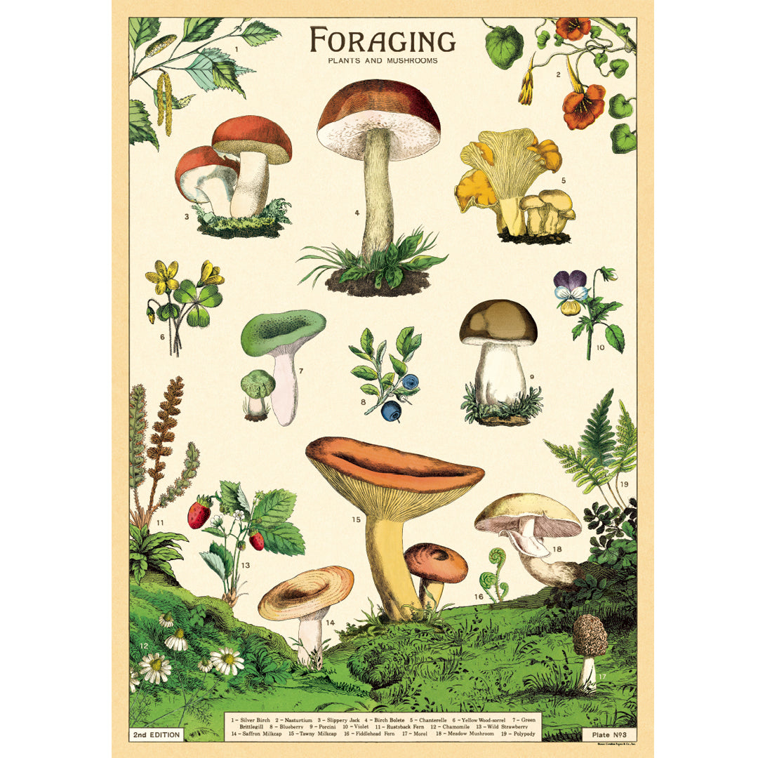 Poster - Forage