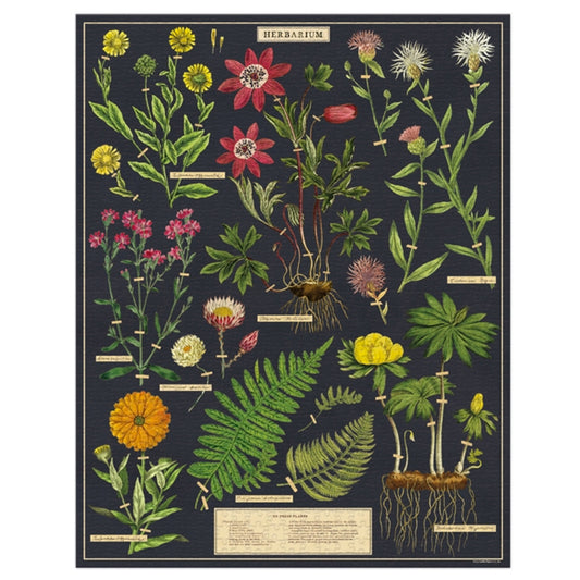 1,000 Piece Puzzle - Herbarium