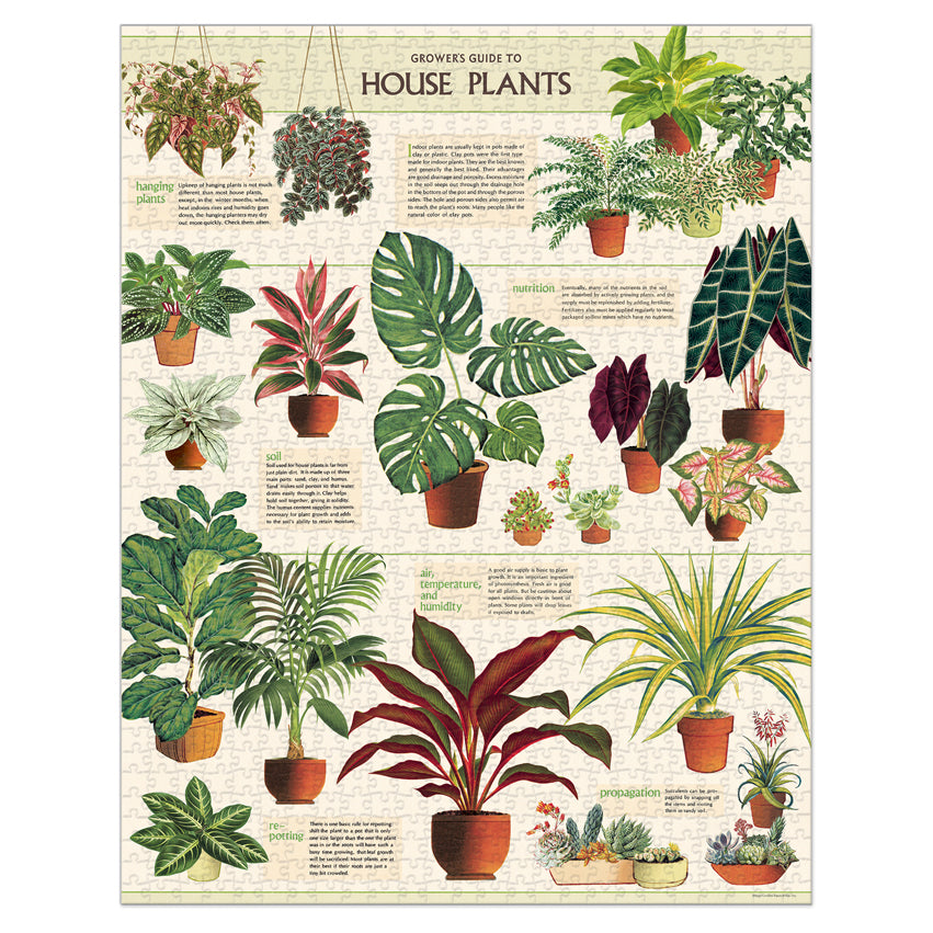 1,000 Piece Puzzle - House Plants