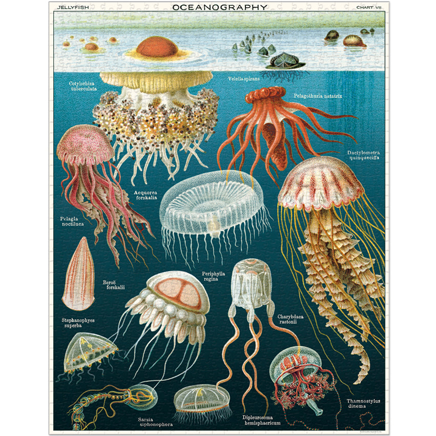 1,000 Piece Puzzle - Jellyfish