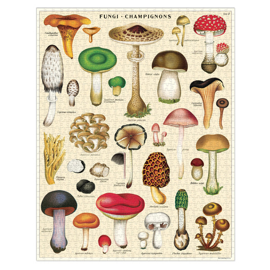 1,000 Piece Puzzle - Mushrooms
