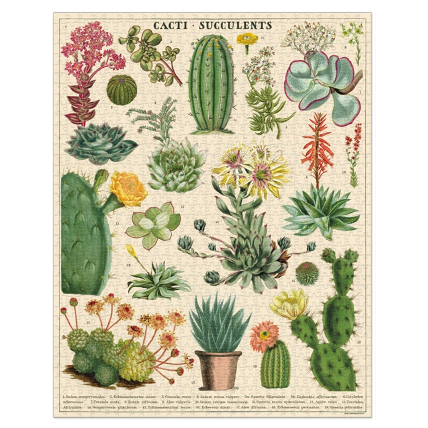 1,000 Piece Puzzle - Cacti + Succulents