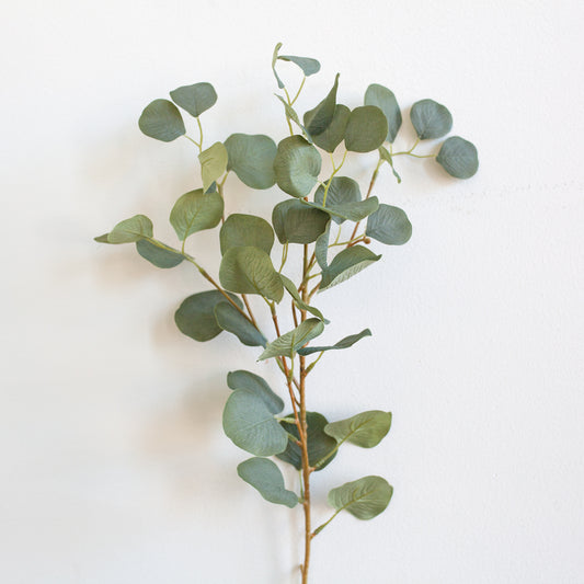 Eucalyptus Sprig - tall 34”