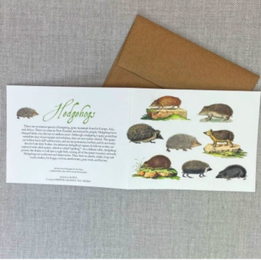 Card: Hedgehogs - 100% Recycled Paper
