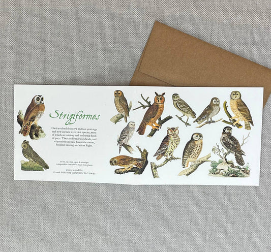 Card: Owl - 100% Recycled Paper