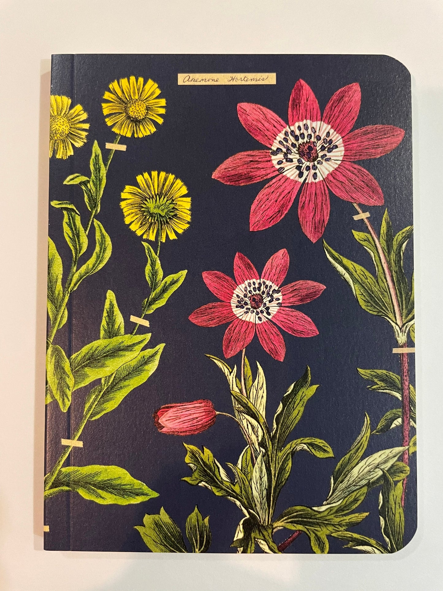 Mini Notebook - Herbarium