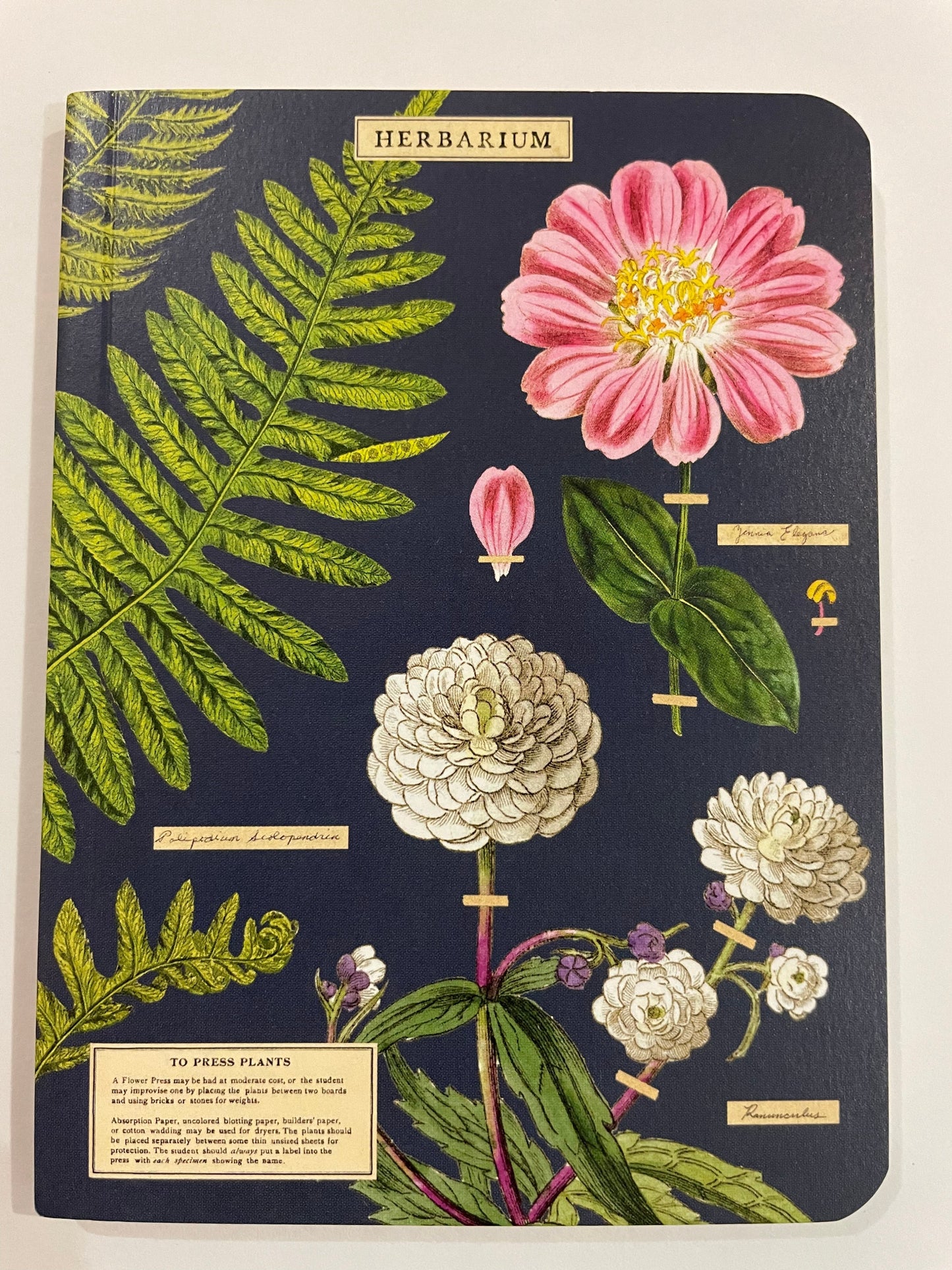 Mini Notebook - Herbarium