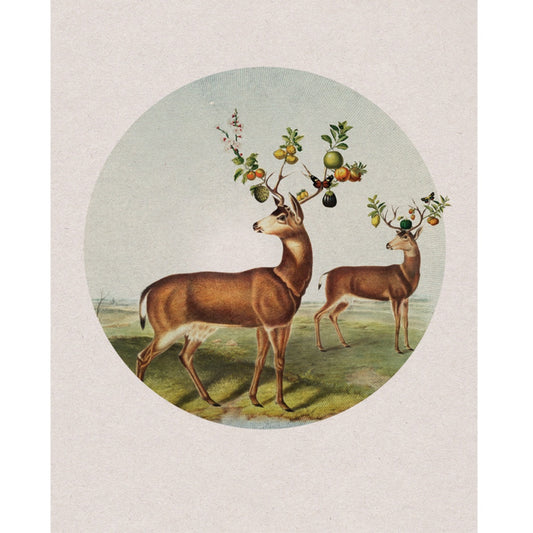 Print: Horns of Plenty