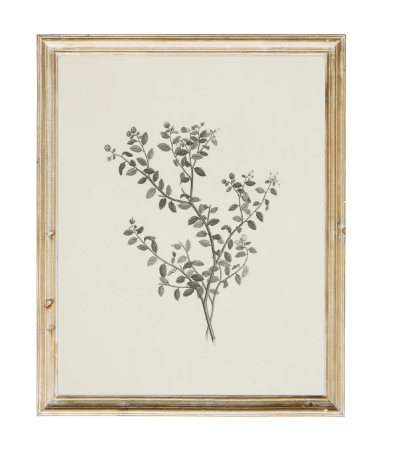 Vintage Print: Leaf