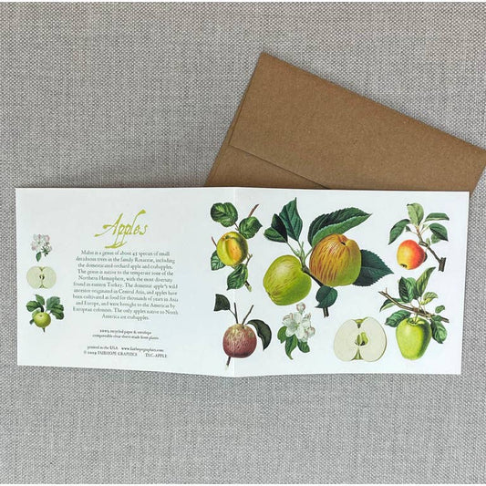 Card: Apples -100% Recycled Paper