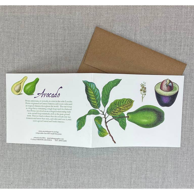 Card: Avocados-100% Recycled Paper