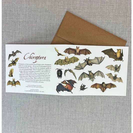 Card: Bats- 100% Recycled Paper