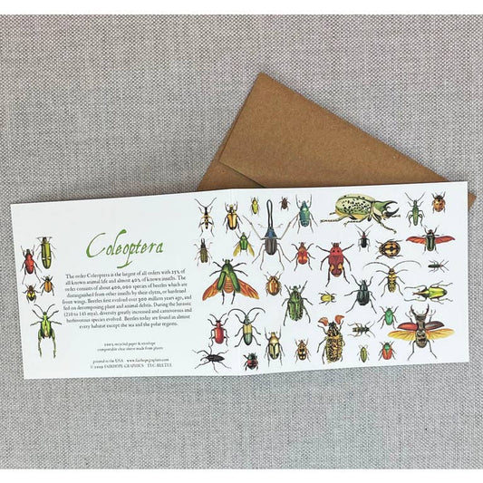 Card: Beetles- 100% Recycled Paper