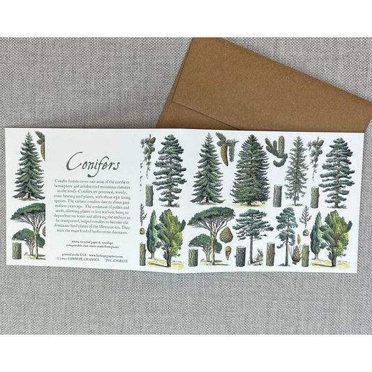 Card: Conifer Forest- 100% Recycled Paper