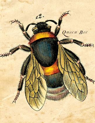 Card: Queen Bee