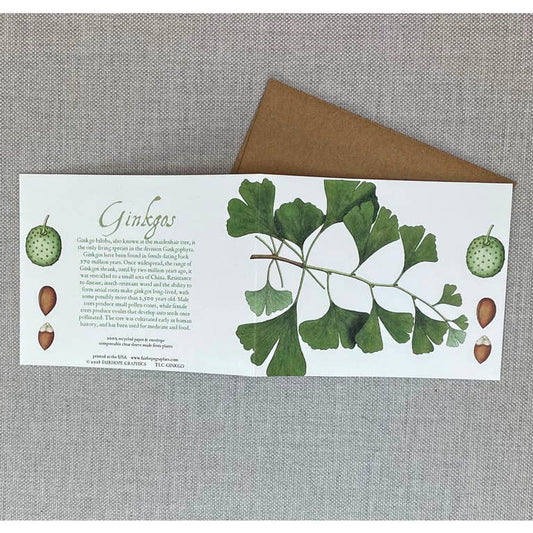 Card: Ginkgo- 100% Recycled Paper