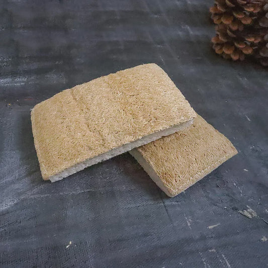 Eco Dish Sponge