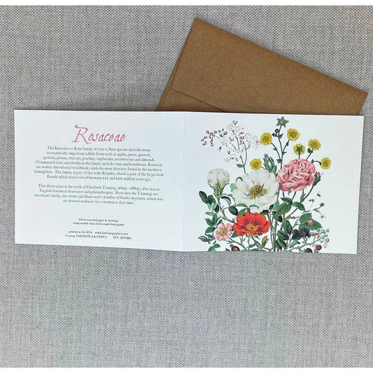 Card: Rosaceae- 100% Recycled Paper