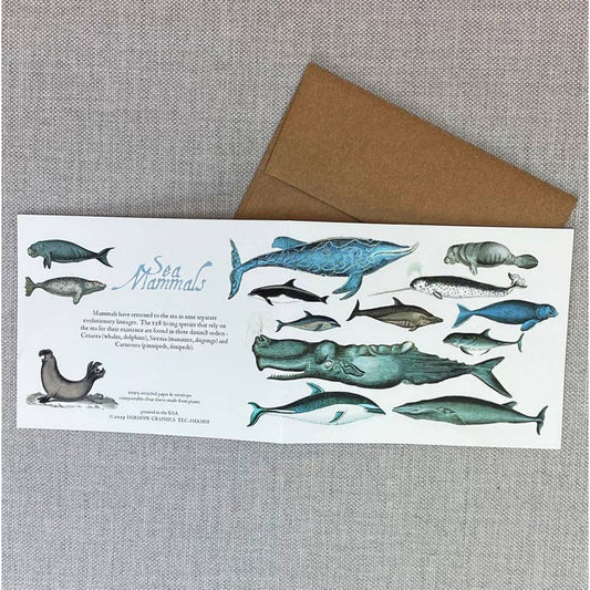 Card: Sea Mammals- 100% Recycled Paper
